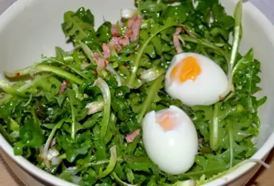 You are currently viewing Pissenlits en salade à la « Crespiat » (Cantal)