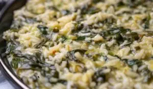 Lire la suite à propos de l’article Seiche spanakorizo – Grèce, Chef Roulis – 1982