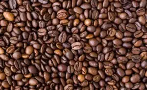 Lire la suite à propos de l’article Gâteau au café (mamie de Royan)