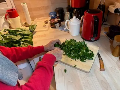 gratin de blettes