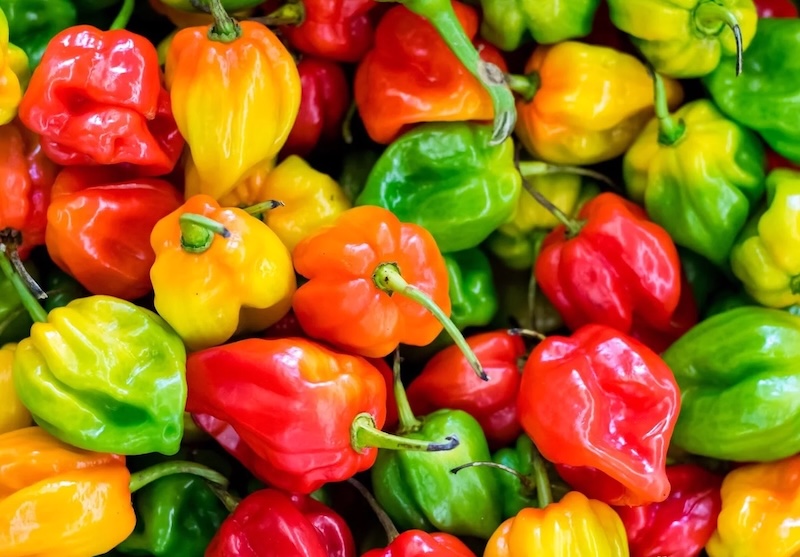 You are currently viewing Sauces aux piments – Vincent